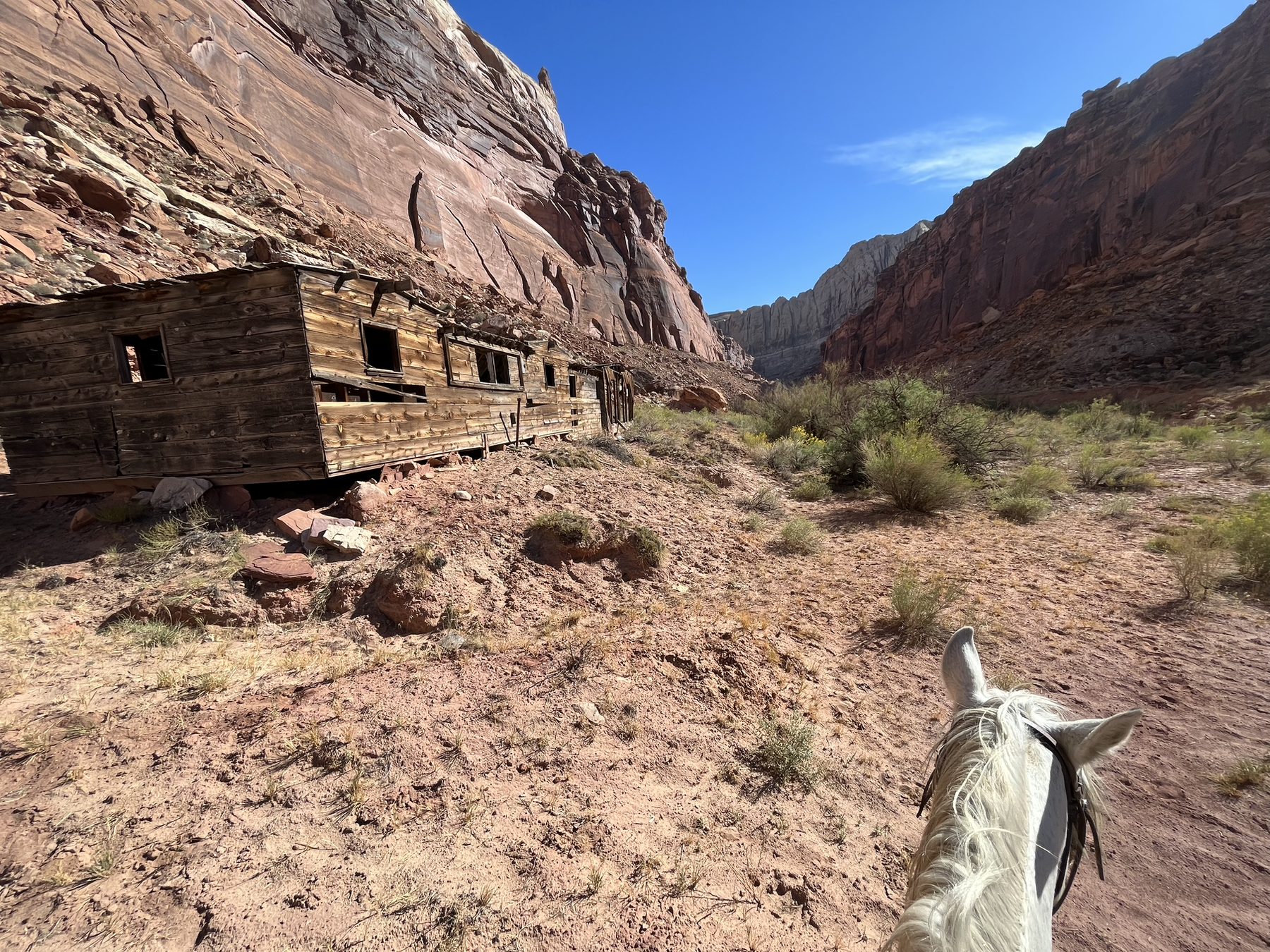Horseback view toward a cabin below canyon walls