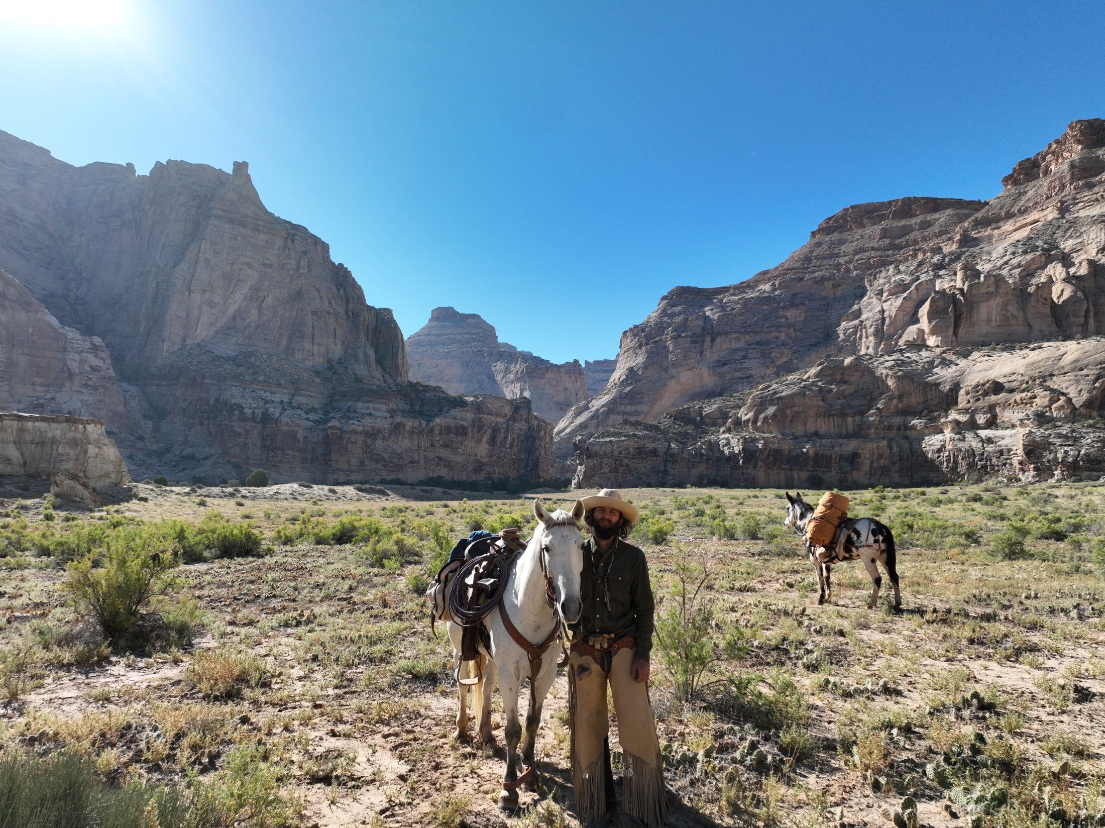 Pack animals and a guide moving through San Rafael Swell canyon country