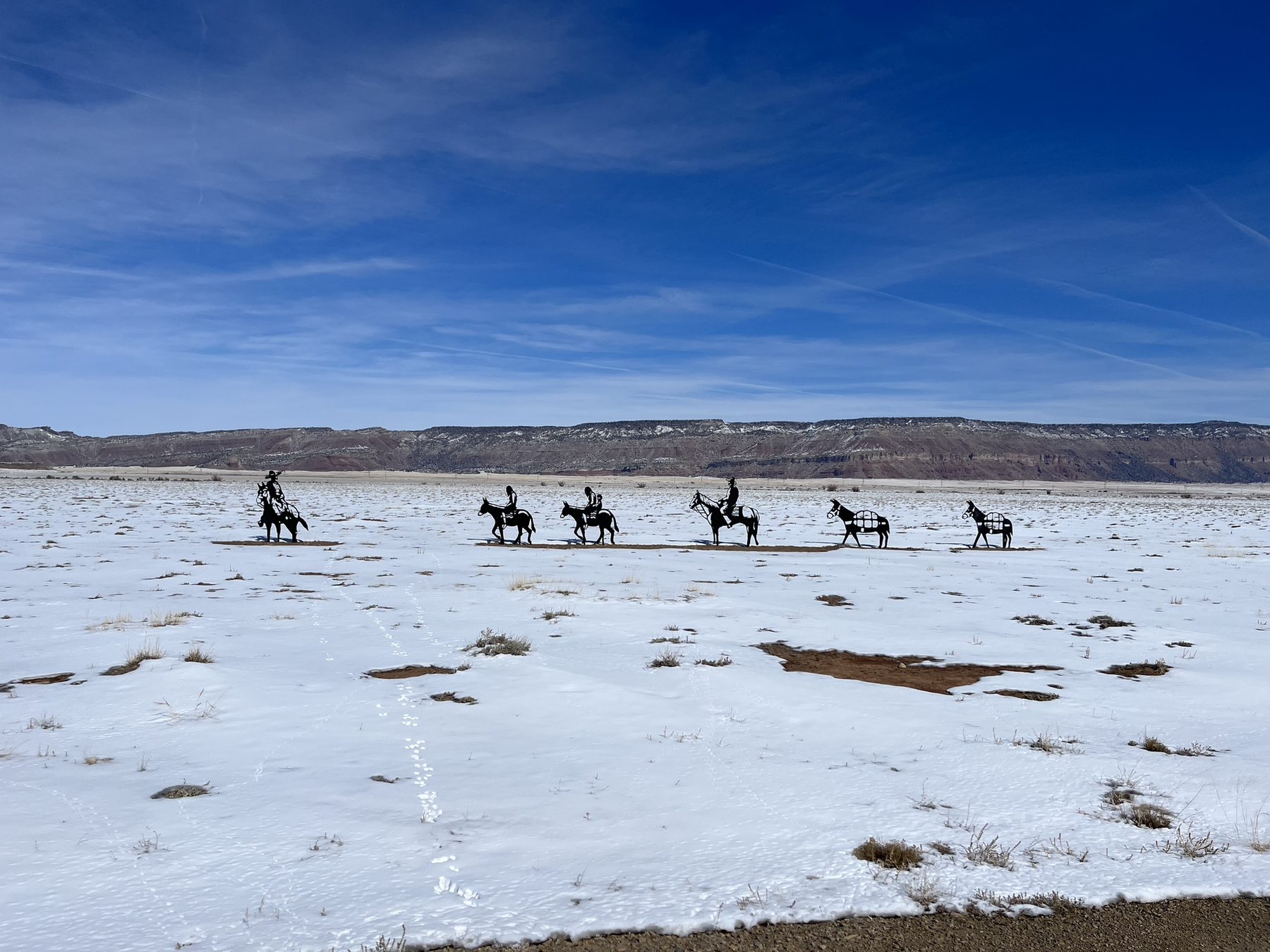 Horses crossing open snowy desert country