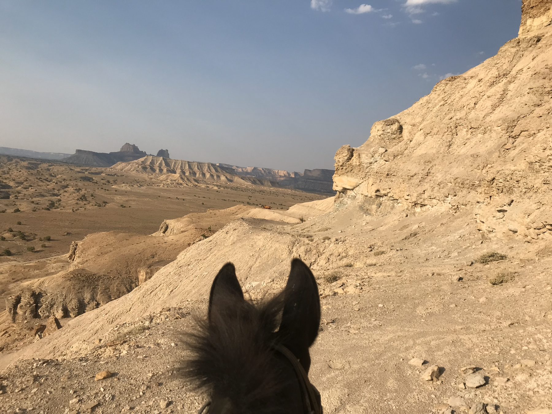 Horse ears in the foreground looking across desert country