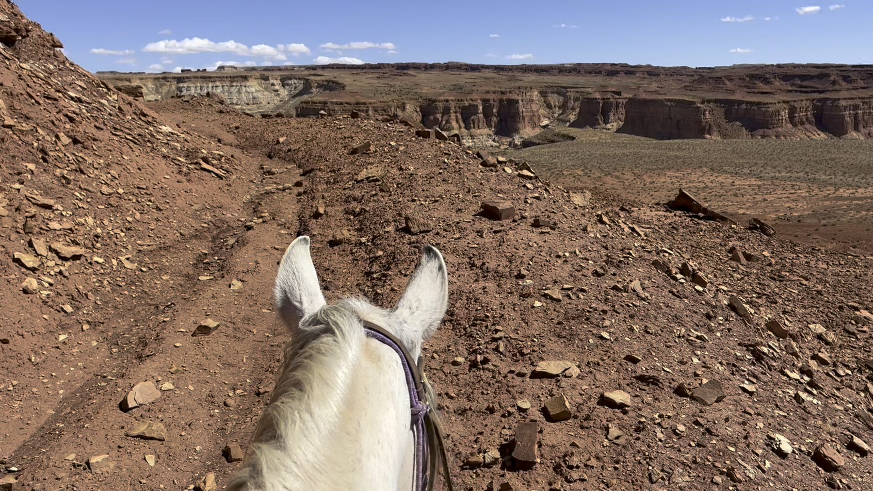 Horseback view across desert country