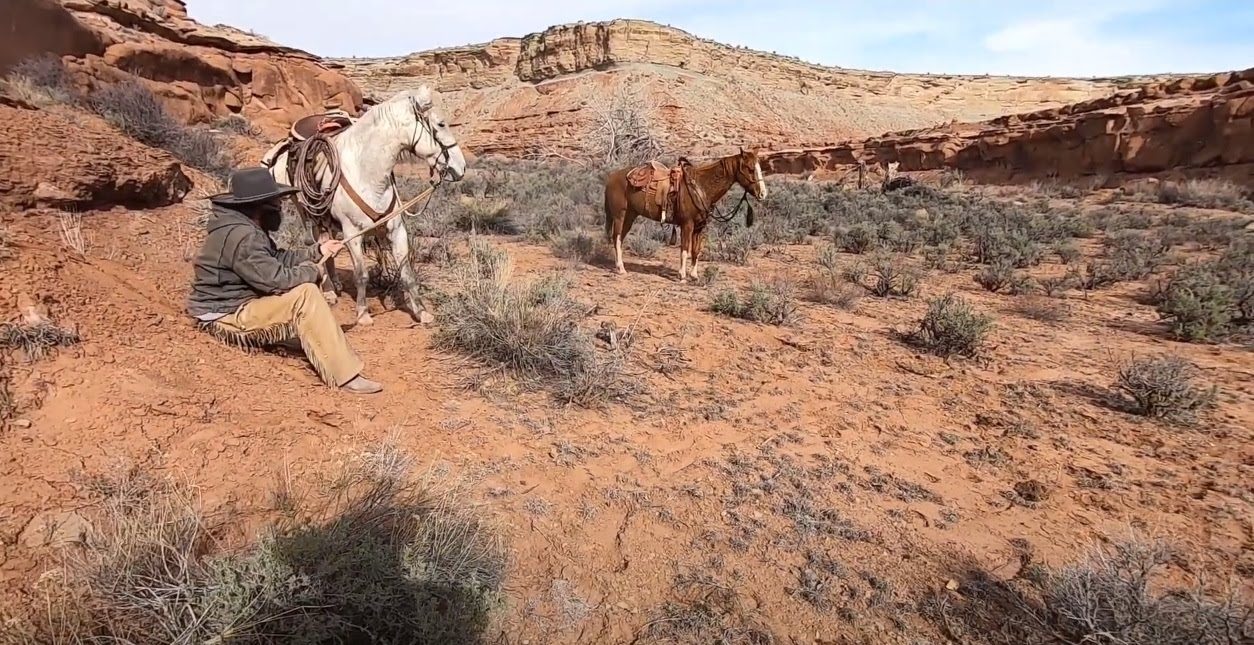 Pack animals in sandstone country