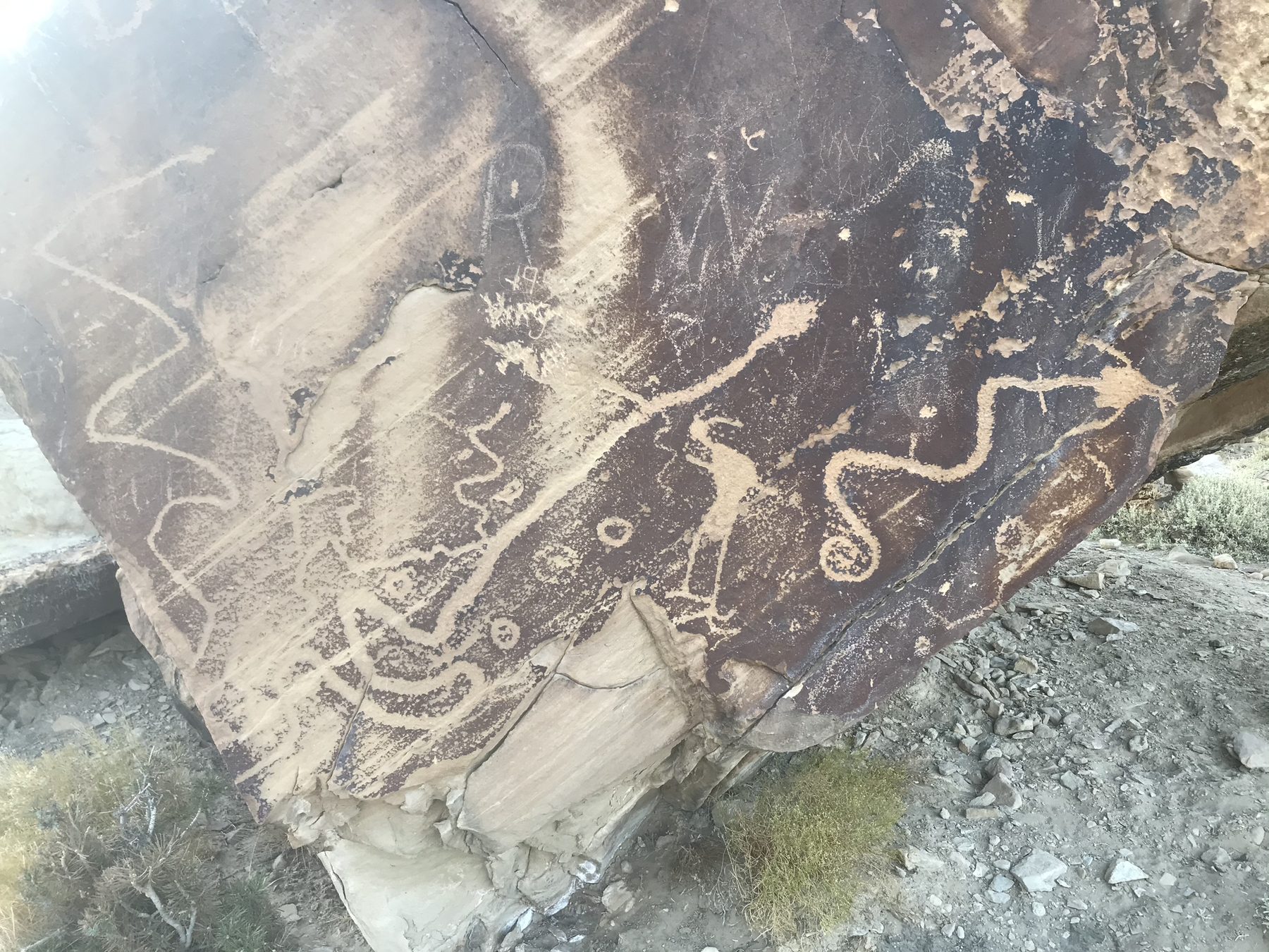 Rock art panel on stone